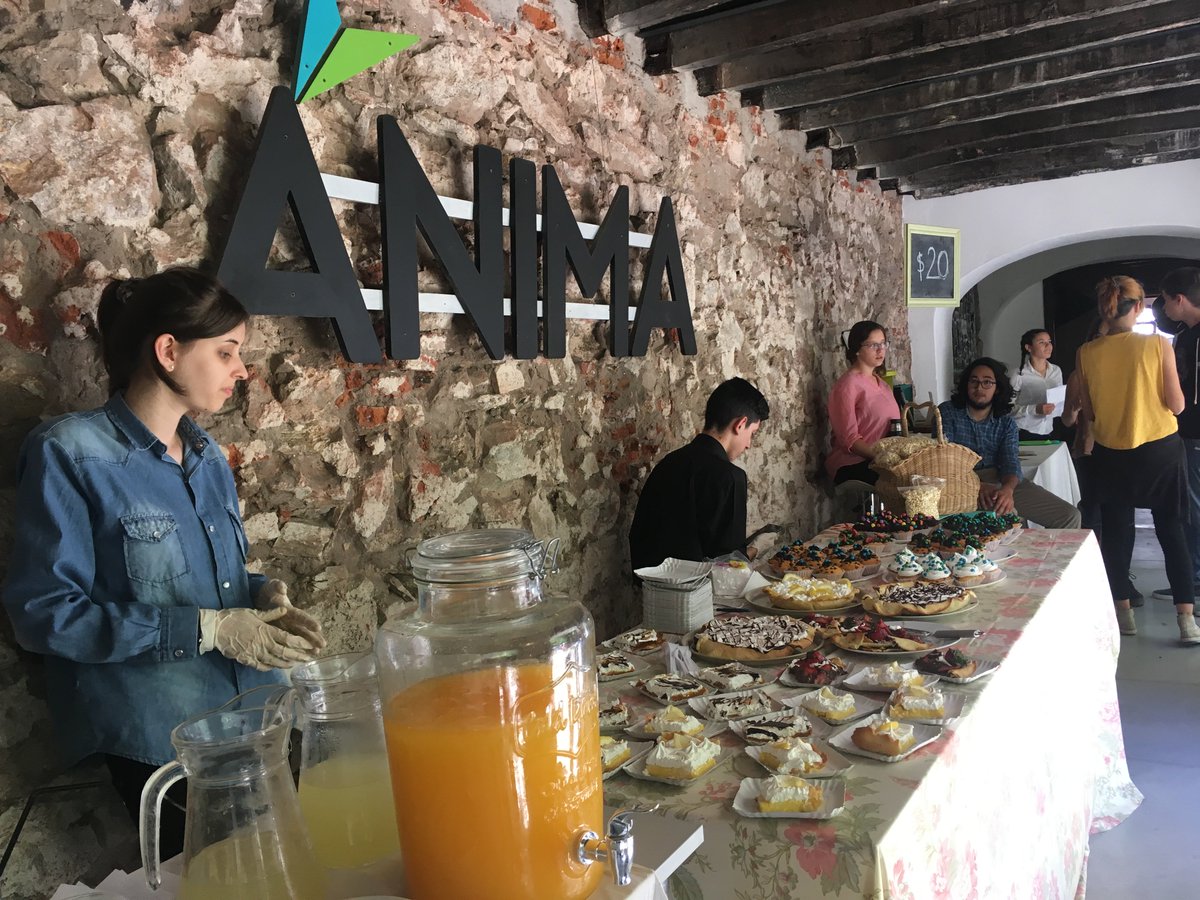 DeloitteUruguay's tweet photo. Estamos disfrutando del #OpenHouse de @anima_educa. #FeelHuman #ImpactThatMatters https://t.co/L63mVXC0FE