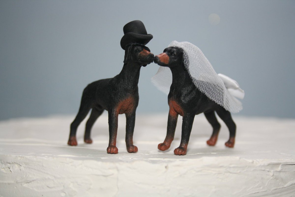 PolkaDotTopShop's tweet photo. Excited to share a newish addition to my #etsy shop: Doberman Pinscher Cake Topper - Wedding Cake Topper - Dogs - Animal Cake Topper - Cute - Custom - Personalized - Bride and Groom - Classy #weddings #weddingcaketopper https://t.co/8lbOFldYsv https://t.co/TBr9YTVwHN