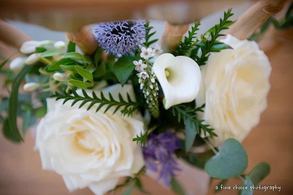 afcpicture's tweet photo. Some flowers to start your weekend :)) https://t.co/qzjSFUxAM6 https://t.co/rb2fnCDYIJ