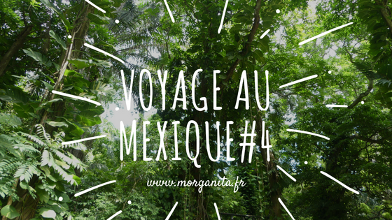 morganitablog's tweet photo. Direction le #Mexique à #Villahermosa pour découvrir la culture #olmeque !! #travelblog #travelblogger
🇲🇽🌵➡️ https://t.co/SfNWMmyaZJ https://t.co/ux64v7yFNV