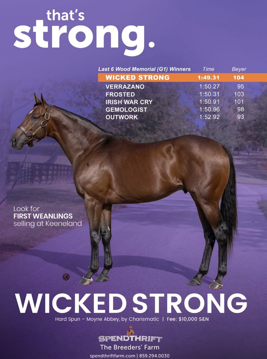 theTDN's tweet image. Look for the first weanlings by @spendthriftfarm's Wicked Strong selling at @keenelandsales November.