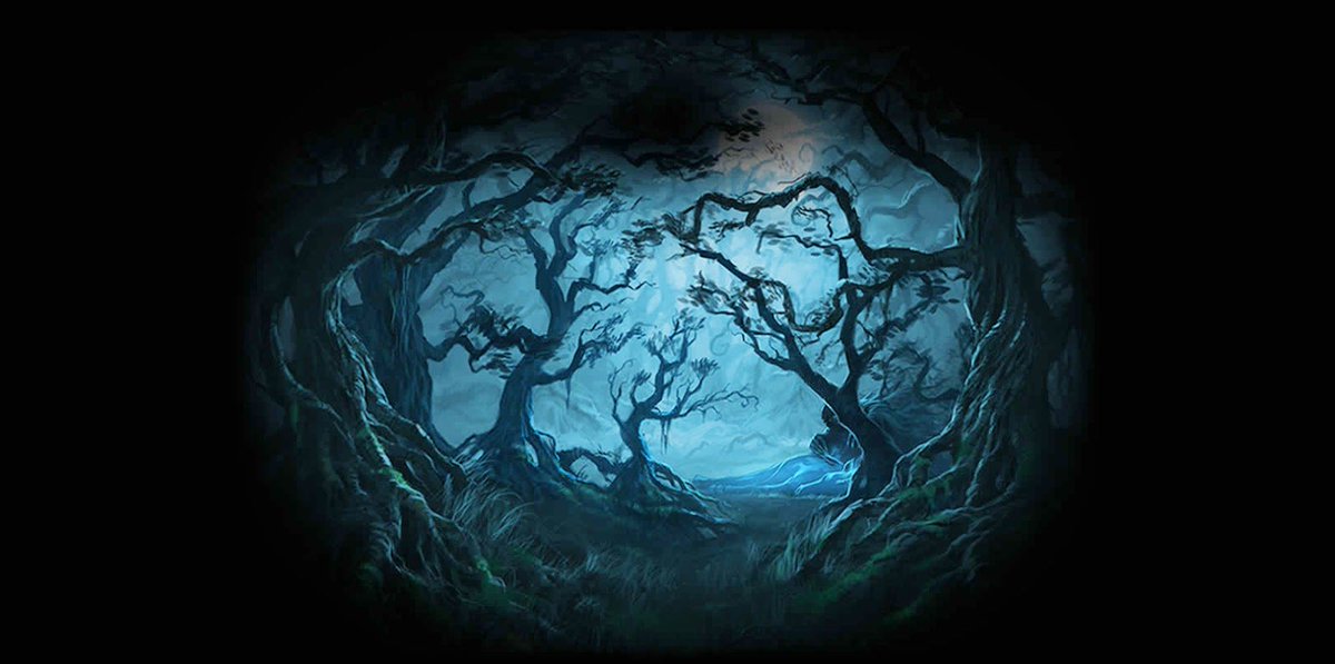 Enzo limit tweet media