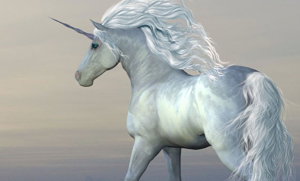 Enzo limit tweet media