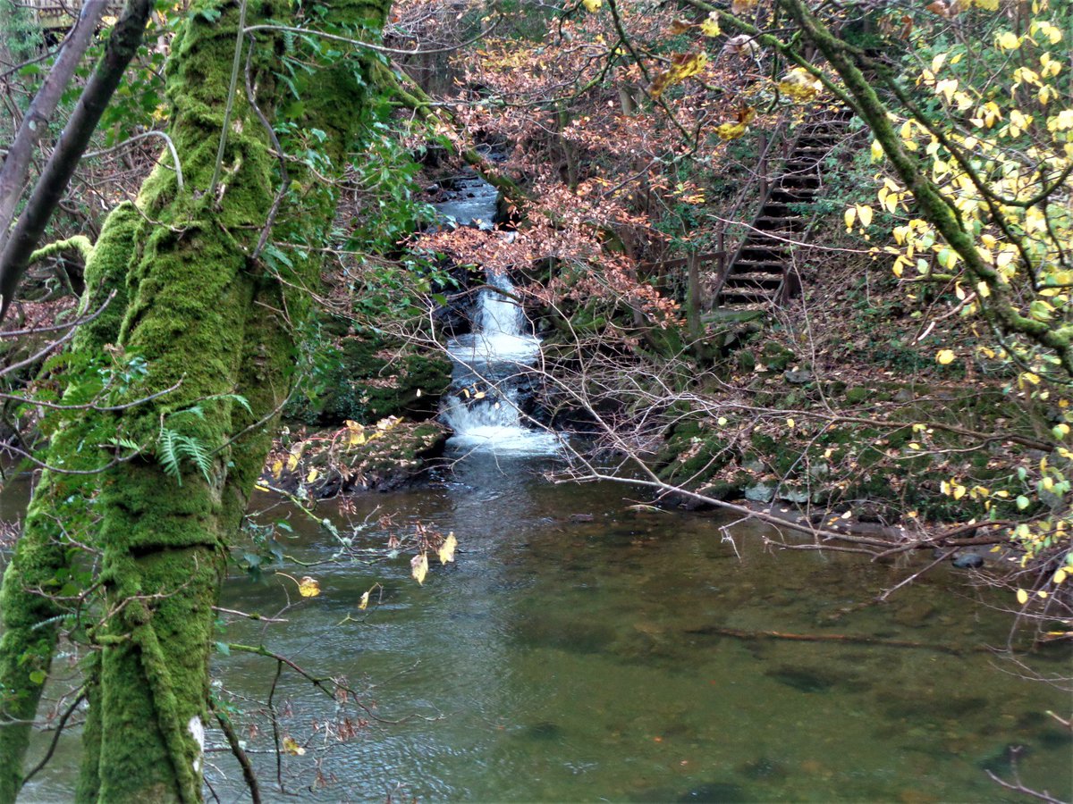 StanLeigh18's tweet photo. @glocky9 @NotJustLakes @CumbriaWeather @Cumbria_Lakes Living waters-views of Tom Rudd Beck, #RiverCocker #RiverDerwent at #Cockermouth https://t.co/E13VbHhtsF
