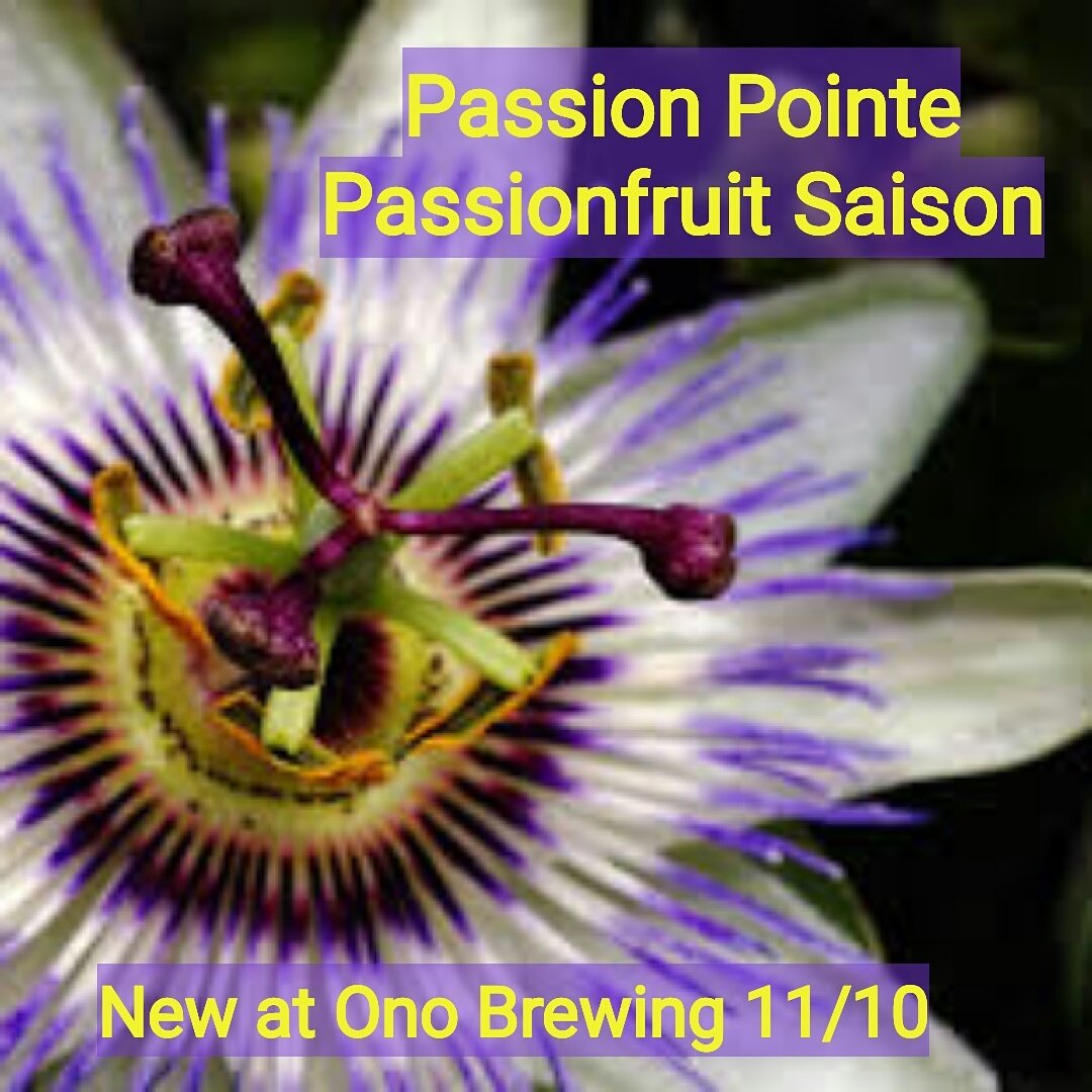 OnoBrewCo's tweet photo. Come out today to be one of the first to try it. It's so yummy. #onobeer #selfservebeer https://t.co/dCrQkriMKY