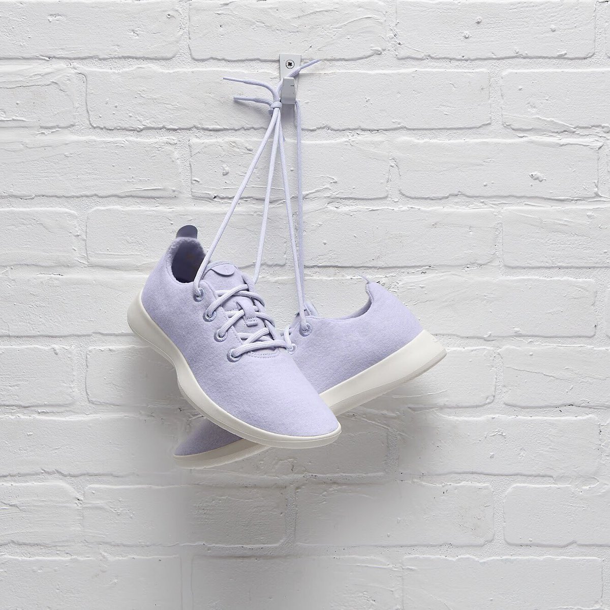 allbirds kotare lavender