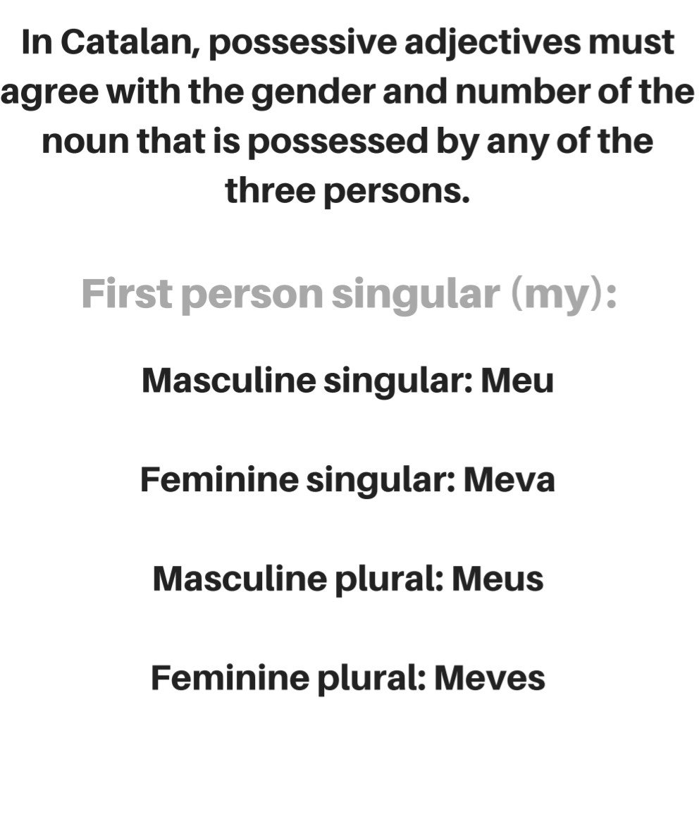 CatalanNow's tweet photo. Lesson 13: Possession (part 1)
In this part, you will read the attachments below on how to use possessive adjectives. In part two we will practice with some examples. 
#Catalonia #catalunya #languages #polyglot #Catalan #Europe #travel https://t.co/E4OOElpTSz
