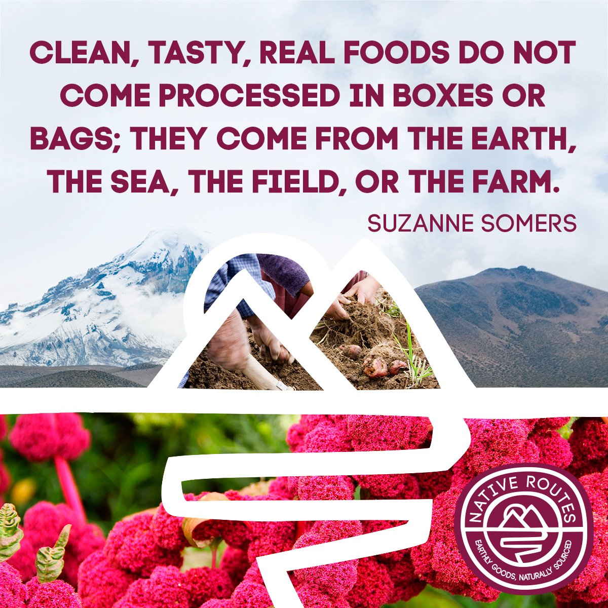 nativeroutes's tweet photo. Eat the real deal! 🍽🌱
#NativeRoutes #superfoods #SuzanneSomers #nutritious #EarthlyGoods #nature #mothernature #chia #quinoa #turmeric #acai #plantbased #southamerica #fiber #protein #Fresh https://t.co/B83hOMj9dU