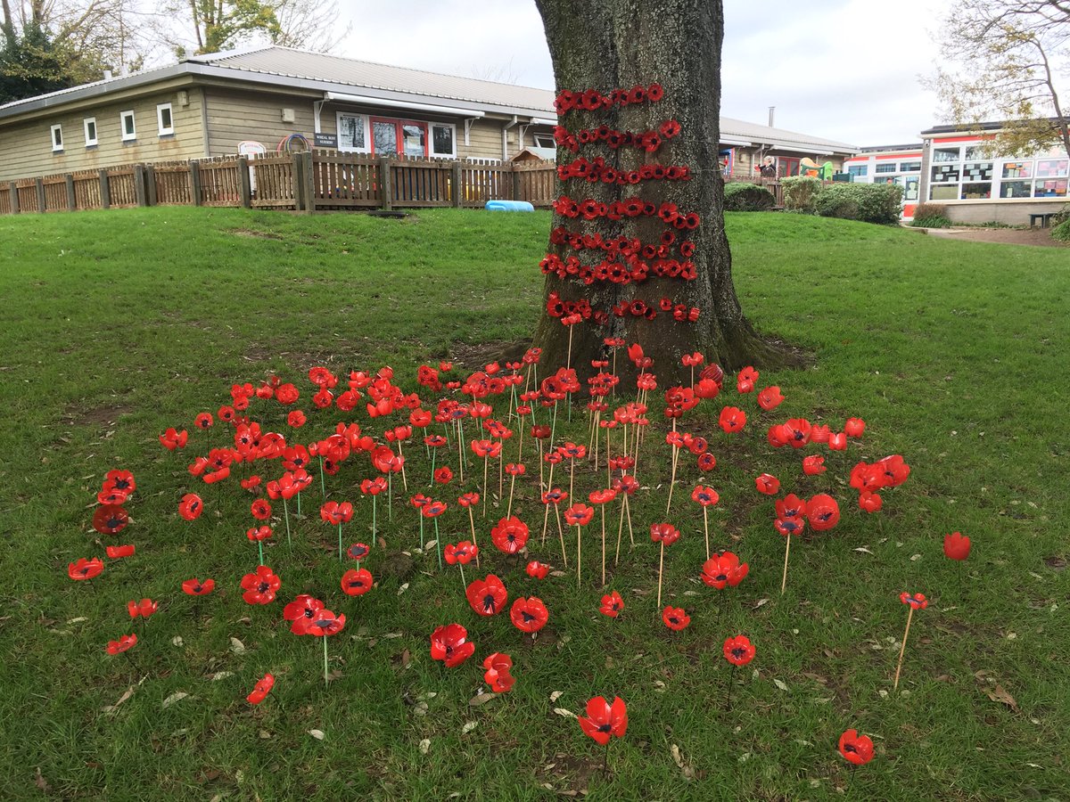 Sarah_T_Photo's tweet photo. Well done to all of the children at @alvertonschool on an amazing Remembrance Day poppy display. https://t.co/9Ypxov7n6t