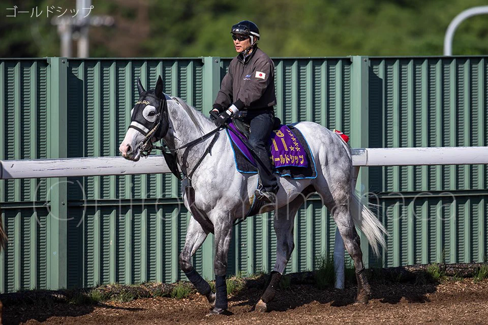山中博喜＠馬🐴溺愛カメラマン📷 on X: 