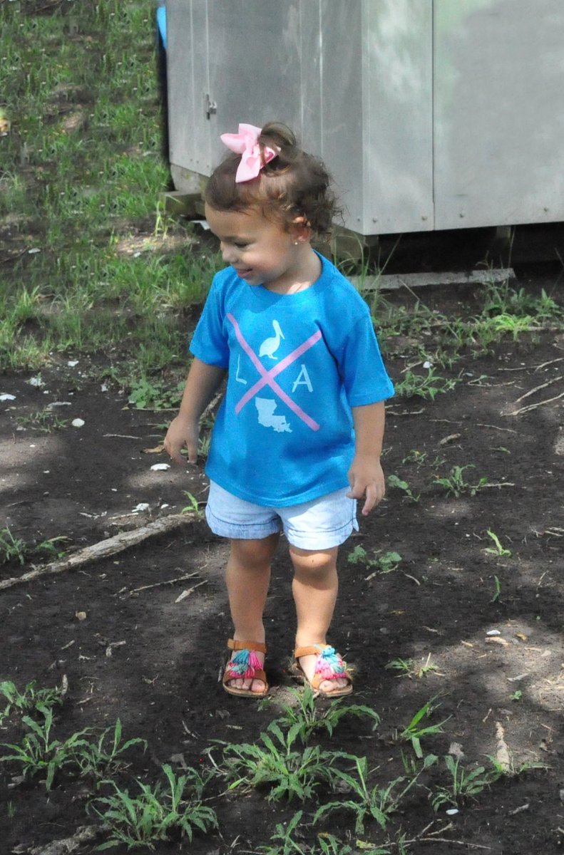 localwearables's tweet photo. For your Louisiana toddler ... #louisianastrong #toddlertees #LAXtee #nola https://t.co/it5UhcP3SR https://t.co/19iGaei4Xn