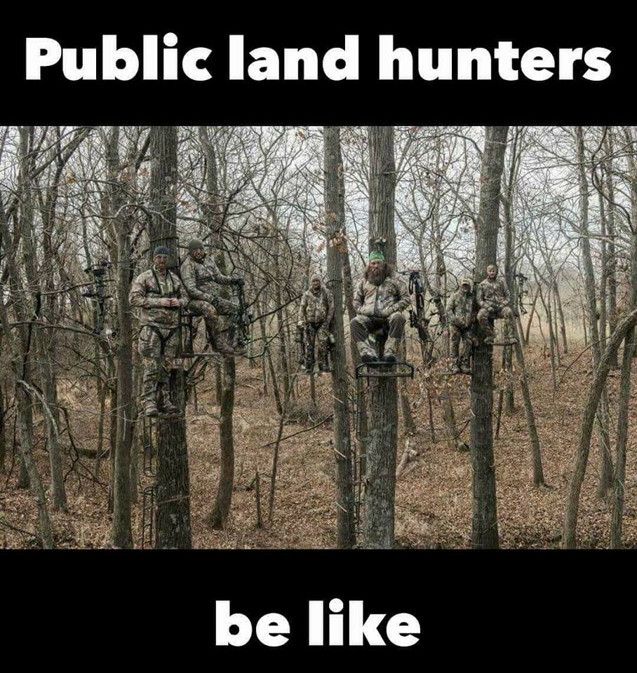 Minuteman223's tweet photo. True this > Just cause it's public land doesn't mean you can hunt in my spot ! https://t.co/grLnUr5Ixz