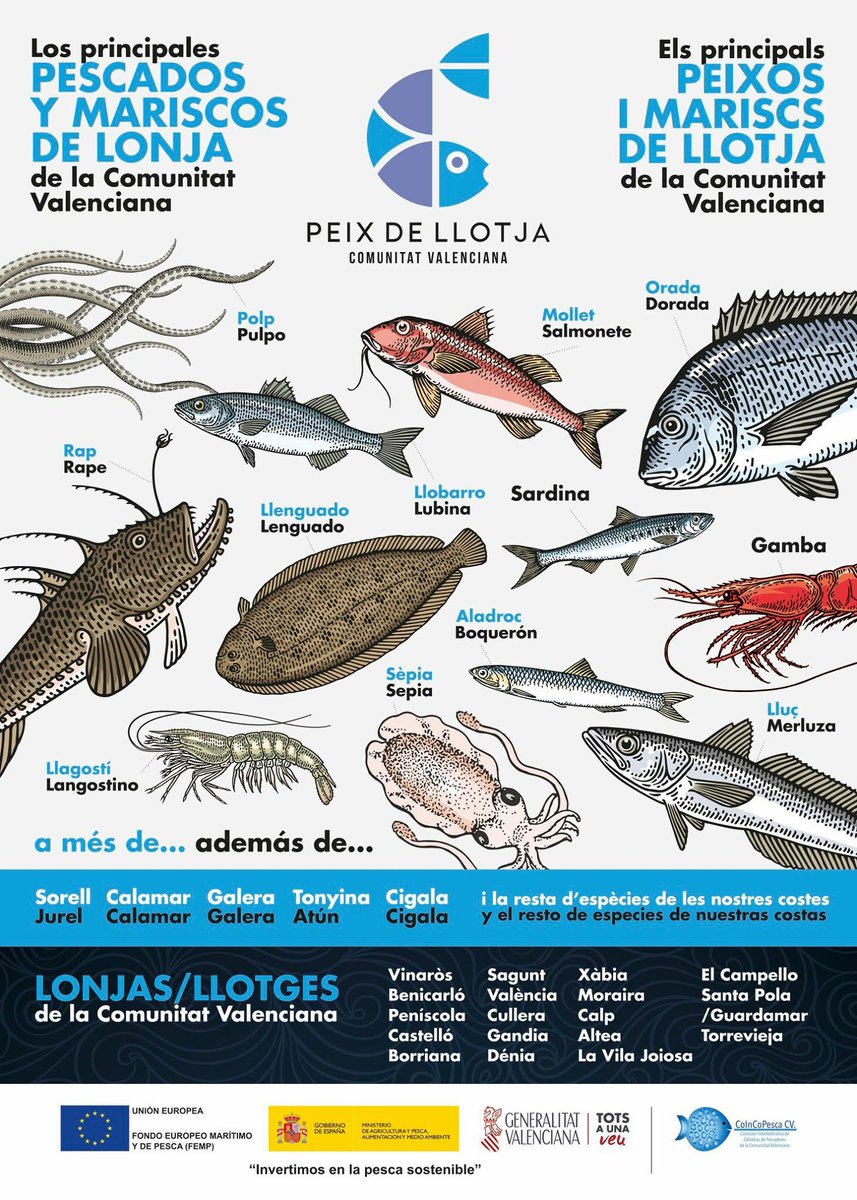 peixdellotja's tweet photo. El proper dimarts 14 de novembre presentem la campanya #peixdellotja 🐟🐟 al @mercadoderuzafa amb el gran @EugeniAlemany 📢 i amb 'show cooking' a càrrec del cuiner Nacho Romero 👨‍🍳 https://t.co/o1StiyP3ic