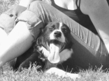 flottman's tweet photo. @NekoCase This face! https://t.co/v6lfd45ZDM