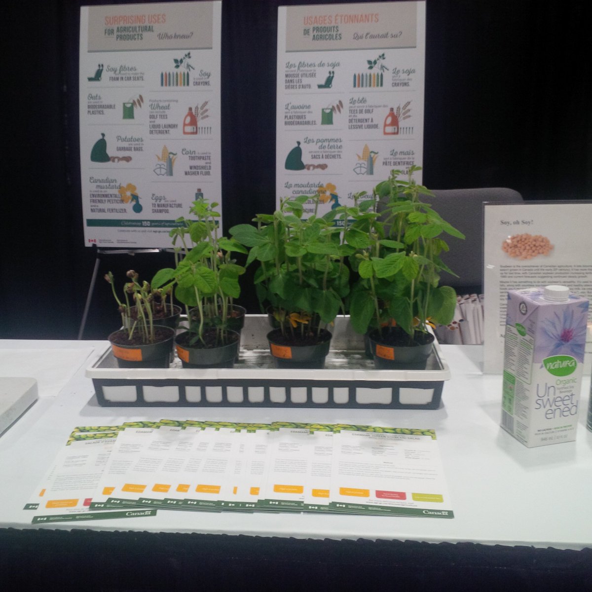 AAFC_Canada's tweet photo. Ever wondered what a soybean plant looks like? Check us out at our #RAWF2017 exhibit until Nov 12 https://t.co/PvsTxbLknq