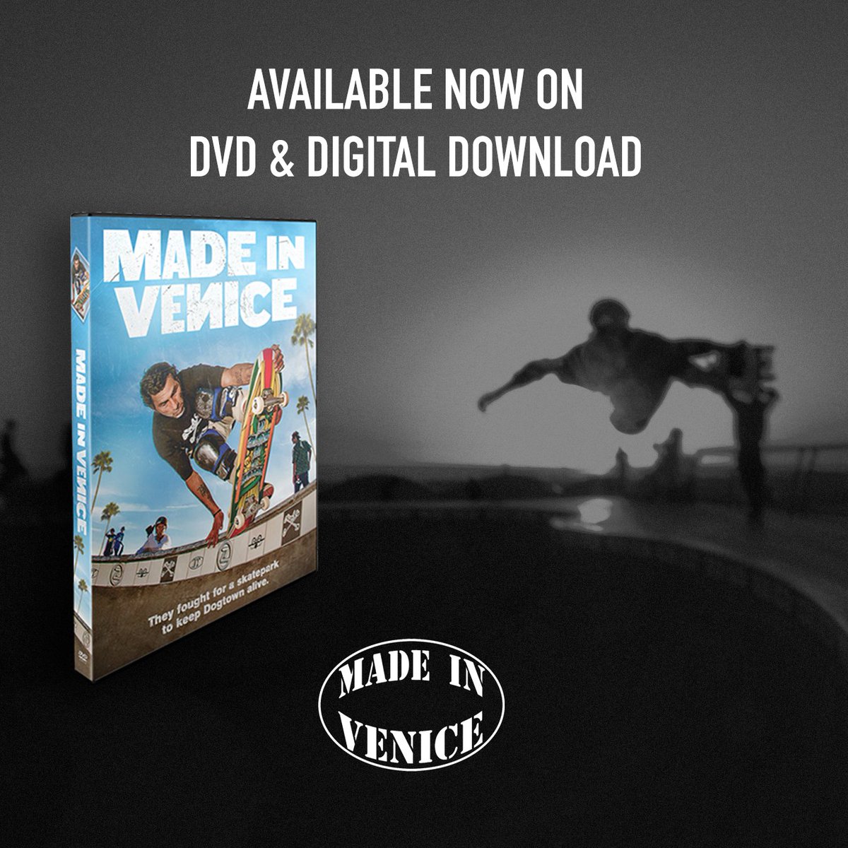 Made in Venice Movie tweet media