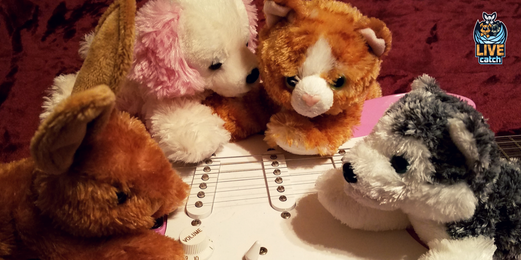 LIVEcatchGAME's tweet photo. "Well, SOMEONE has to be the singer!"    https://t.co/uYhvkymi3Z    #AugmentedReality #Toys #Game launching Spring 2018  #PuppyLife #Catlife https://t.co/hHfrk69jwG