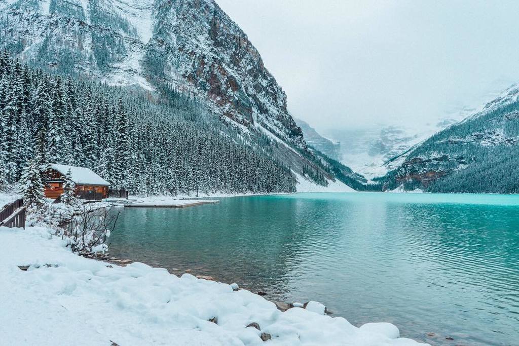 SherriExplores's tweet photo. Winter wonderland at Lake Louise, Alberta. Are you ready?
#lakelouise #lakelouisecanada #travelalberta #explorealb… https://t.co/ccFmKRPUfC https://t.co/l40o8dfWgF