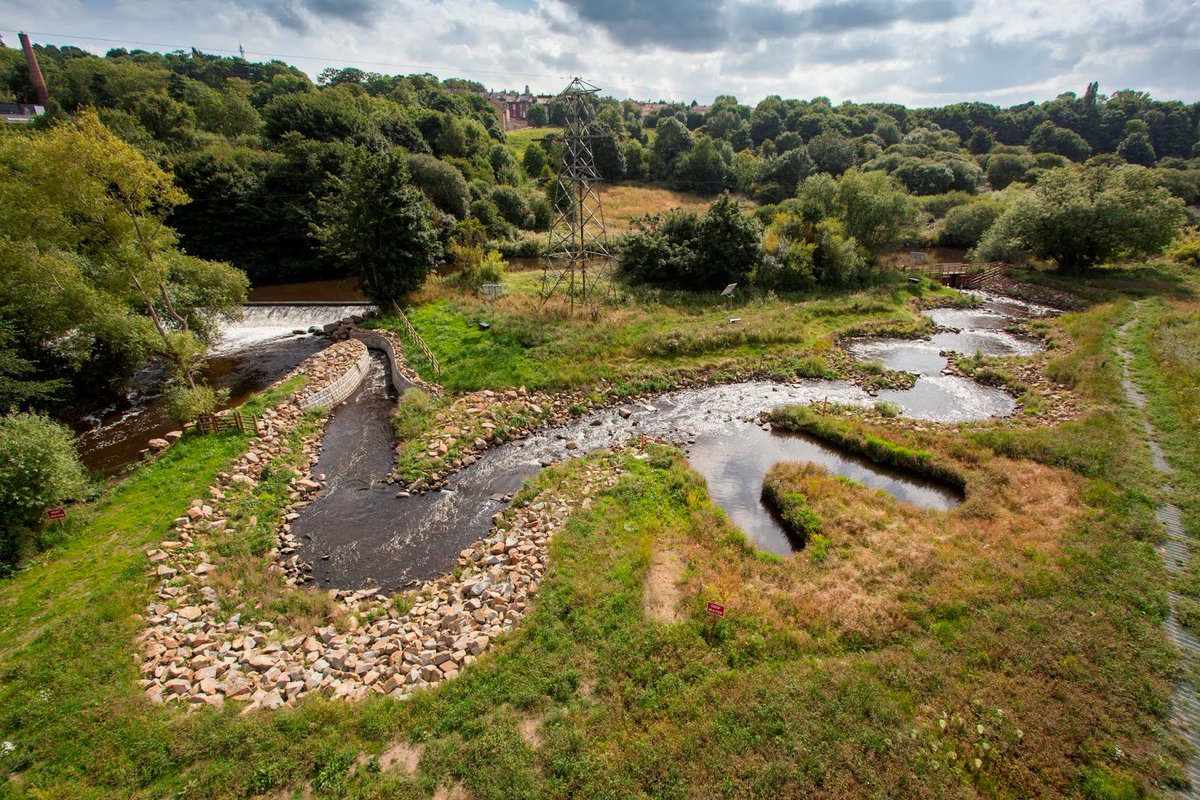 coach_yourself's tweet photo. Job Vacancy - applications for our DNAire Engagement Officer are still open. Help restore the Aire to its former glory through our HLF funded project DNAire. Details at https://t.co/q0XWDGMKk5 https://t.co/NR9kUNI734