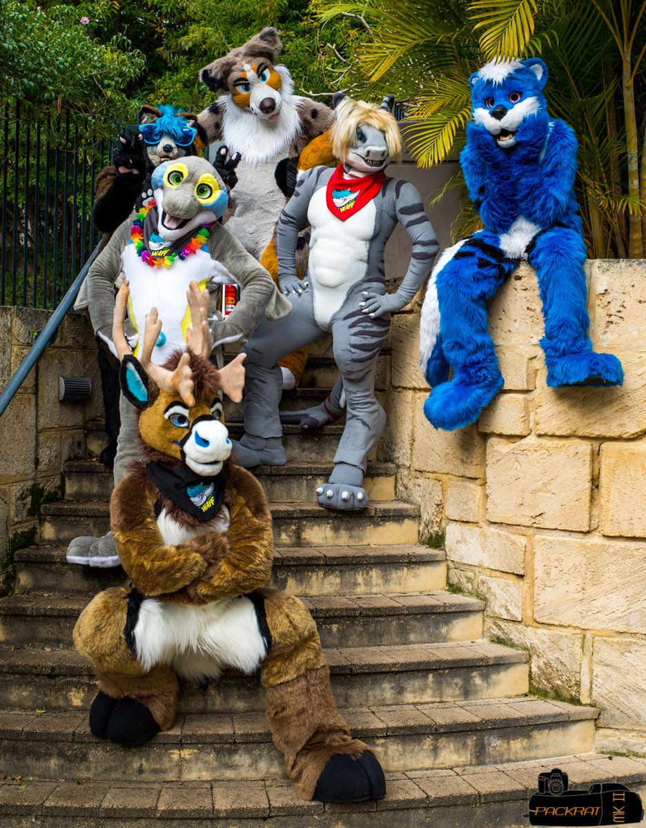 Inflatophin's tweet photo. A fun bunch of fuzzbutts! Taken at #WAFF2017 Feat: @Skye992 @ToruTheBuck @Ryder_Otter @MaxWoofer and Tanukiami (not on twitter) https://t.co/NZ0yGjq6KH