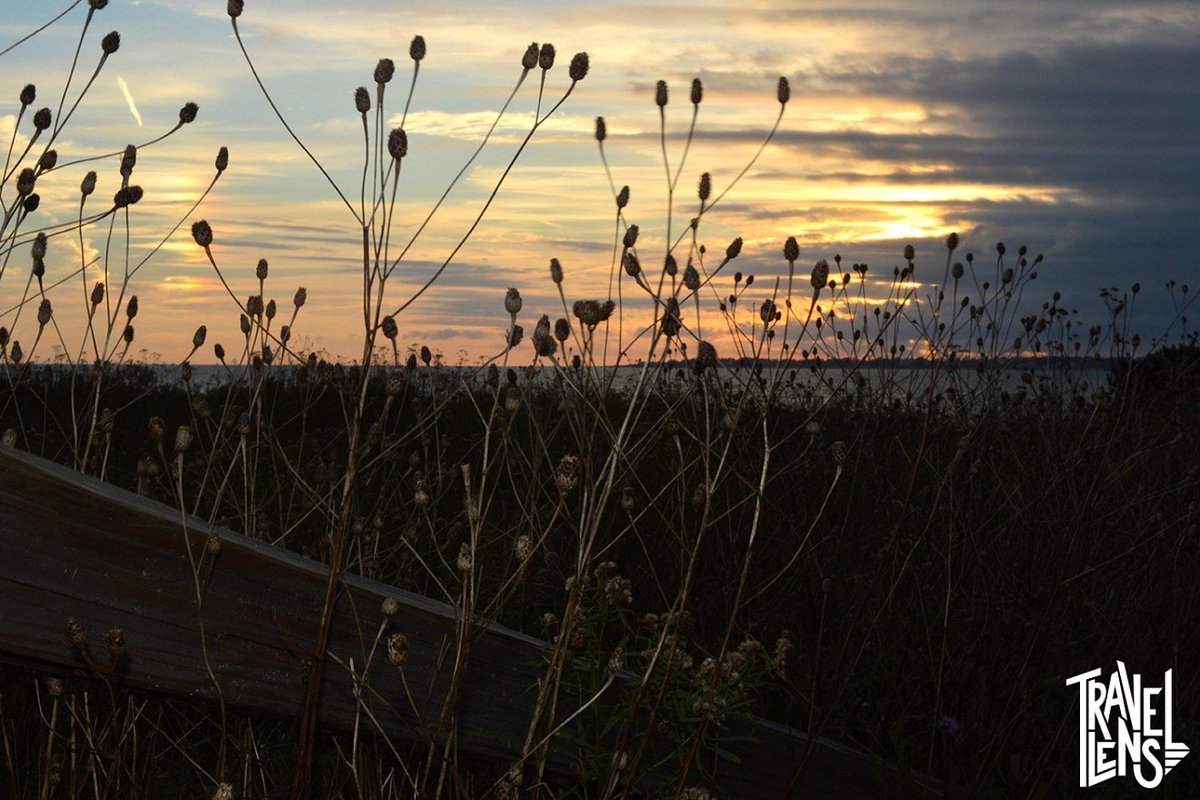my_travellens's tweet photo. #Sachuest Point #National #Wildlife Refuge #Sunset. Check out other photos from my trip to Sachuest Point on https://t.co/Y2LuAIs2SJ
#mytravellens https://t.co/8EV01XGkCL