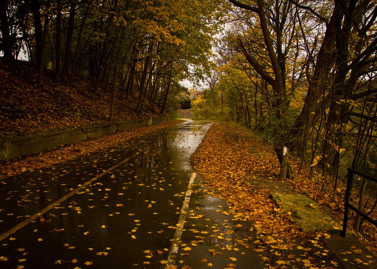 AutoGlassEX_CA's tweet photo. Daylight is fleeting, make sure you're prepared when you hit the road this fall. https://t.co/4qqquAU8XB #AutoGlassExpress #Auburn #Auto https://t.co/pT3K9yv2XC