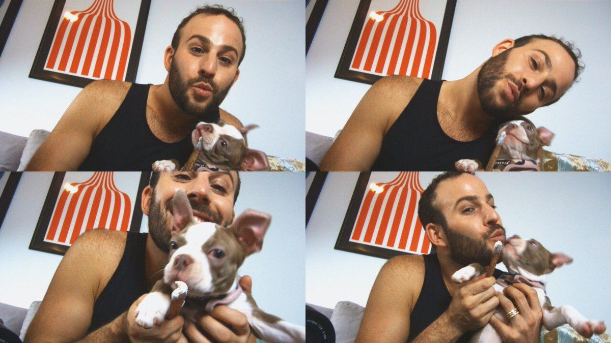 Jibo Inc. tweet media