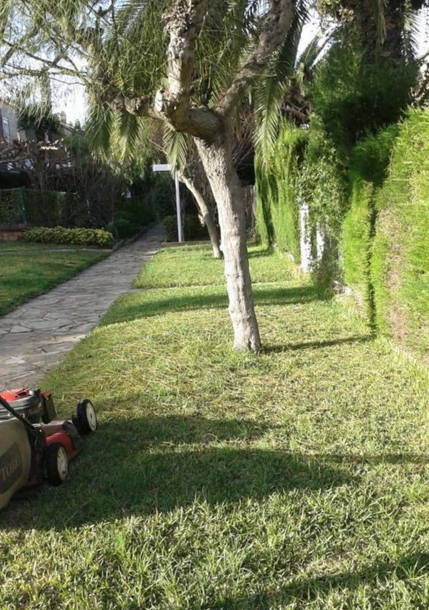 trizzoosystem's tweet photo. #trizzoo posa a punt la teva comunitat  i zona enjardinada https://t.co/bFmeUKwQaw