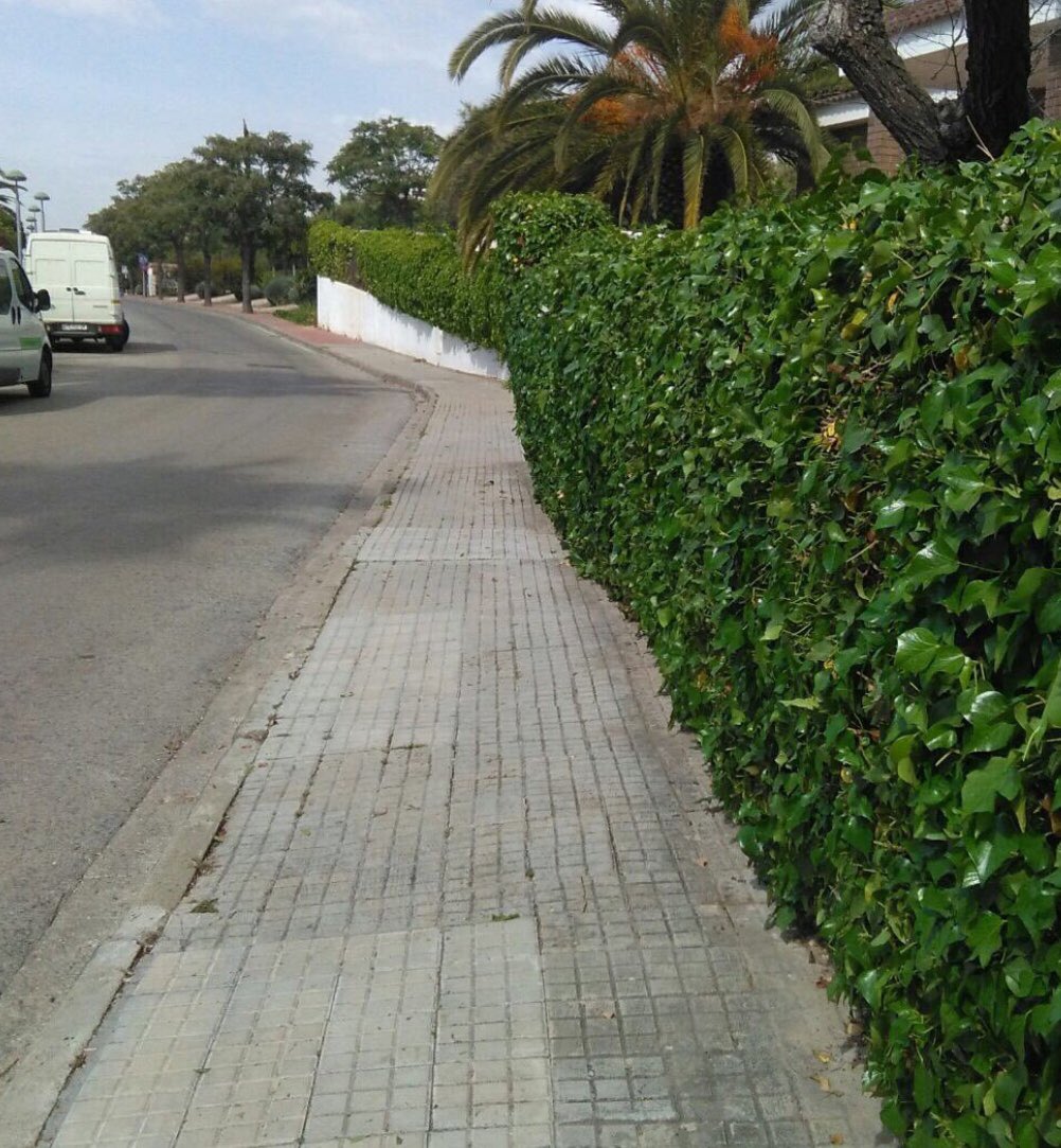 trizzoosystem's tweet photo. #trizzoo posa a punt la teva comunitat  i zona enjardinada https://t.co/bFmeUKwQaw