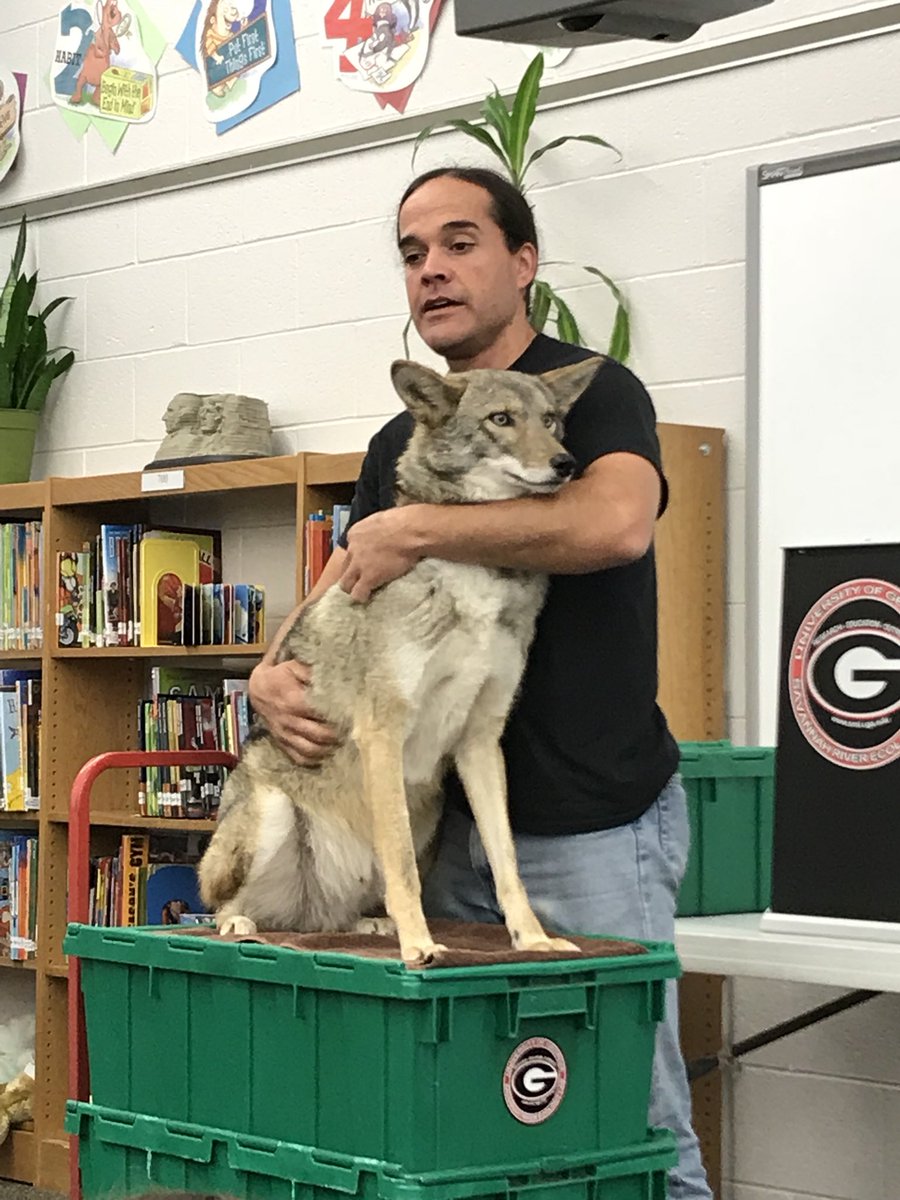 LrnCommonsSGE's tweet photo. It’s “wild” in the LC today! 4th and 5th graders have been a “captivated” audience! https://t.co/NI1jFwPX9H