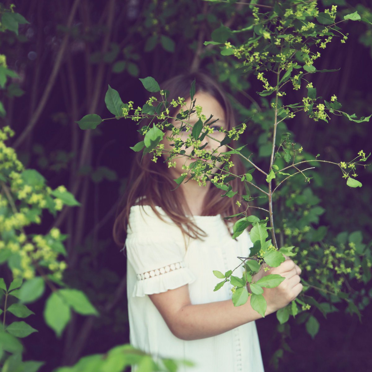 mmophotography's tweet photo. She may seem tame...but fire runs deep within!
#boldinthesoul #firerunsdeep #wildyouth #youngandfree #twincitiesphotographer #woodburymn #dreamforever #myminime https://t.co/x3R1Yt545i
