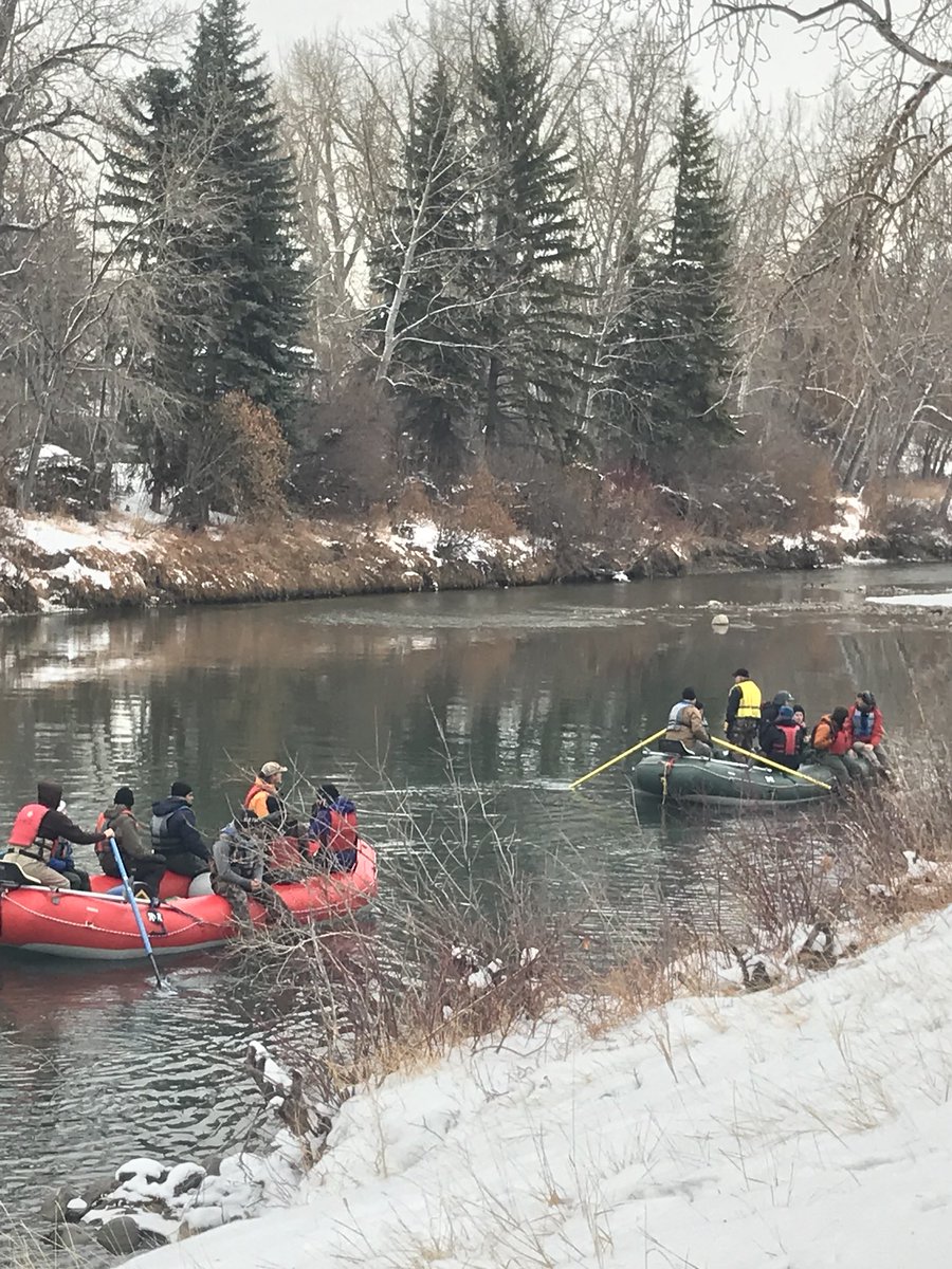 Terri_Trembath's tweet photo. Fish biologist says brown trout redds along the Elbow river will likely reach the 200’s today, double from 2013. #fishcount @CBCCalgary https://t.co/bMwMj5k2F4