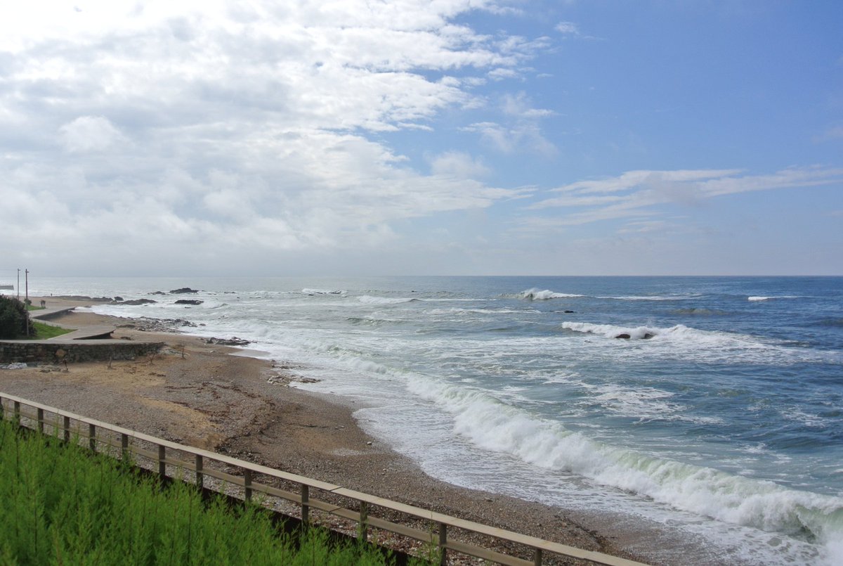 Sandra Wyss tweet media