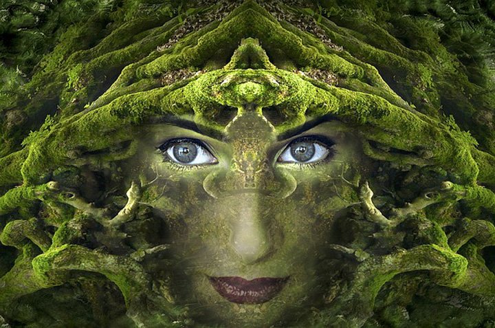 Check out the totally 80s twist on A Midsummer Night's Dream this weekend &amp; next at the Washburn Performing Arts Center. northbanknow.com/2017/11/a-tota… <a href="/washougal_sd/">Washougal Schools</a>