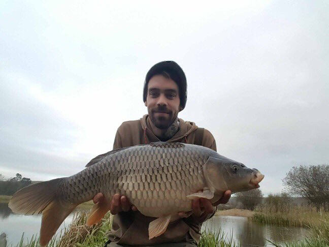 SrSpringrock's tweet image. Cracking 15.5lb common out yesterday!!