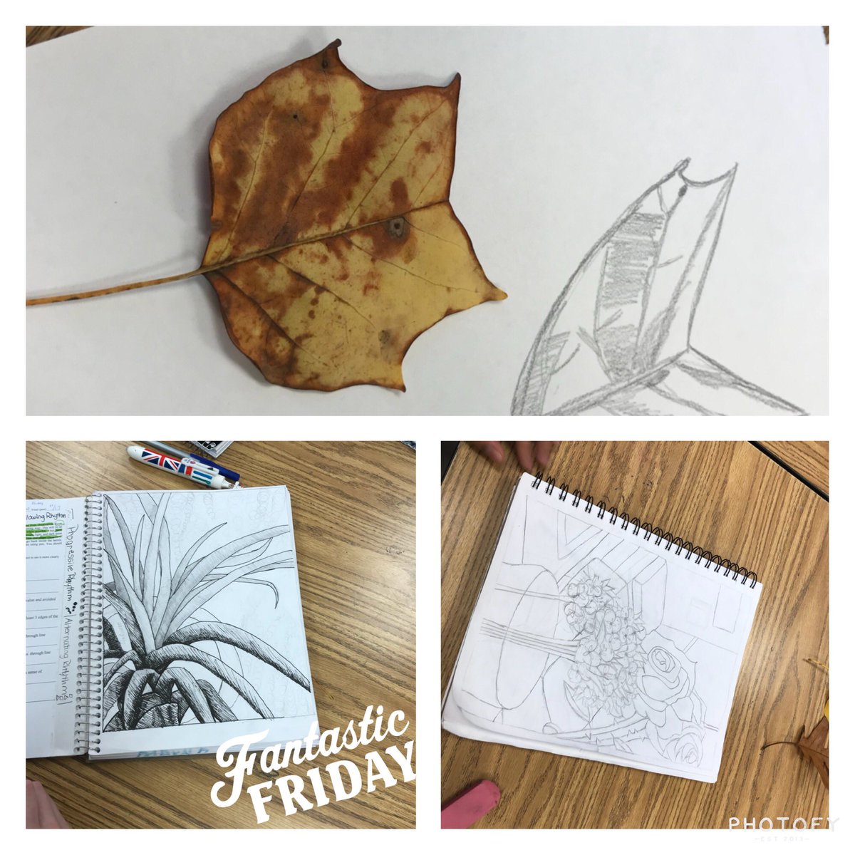 KMoTheBrook's tweet photo. Pen media plants and lines. They are WAY more talented than I️ am! #gradeseven #visualarts #loveingmycoverage https://t.co/IwVs5xl4LG