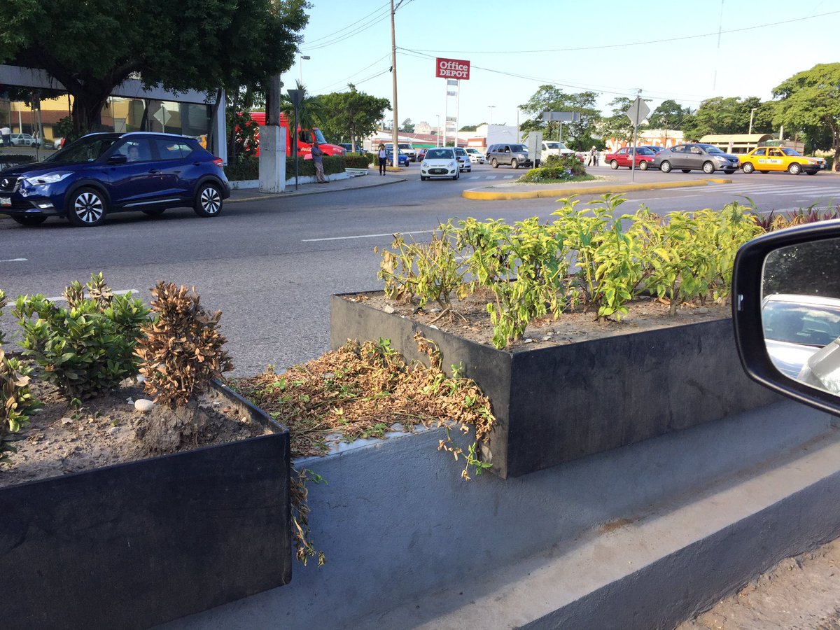 bengala2009's tweet photo. @gerardogaudiano Y de qué sirve que inviertas, si no lo cuidas? Tus carísimas jardineras se están secando https://t.co/VARFGEEO6R