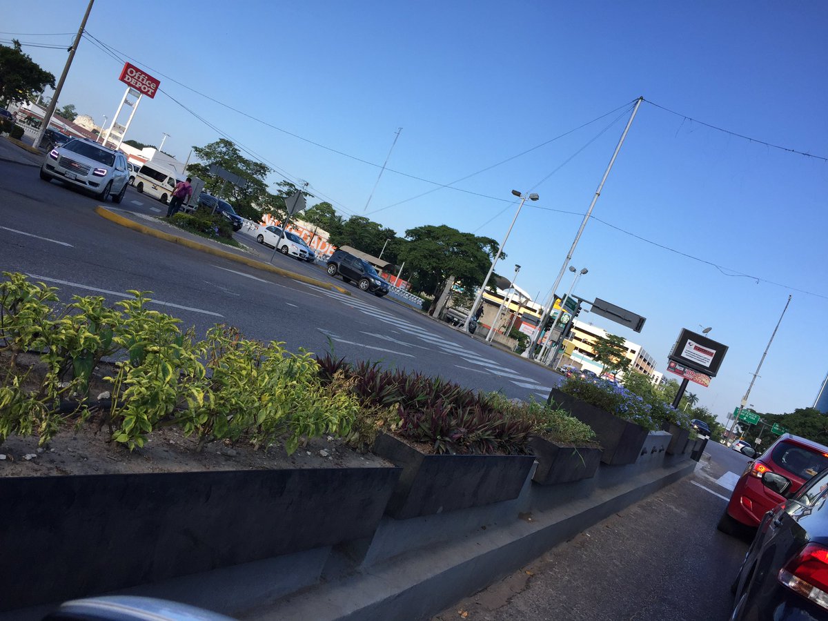 bengala2009's tweet photo. @gerardogaudiano Y de qué sirve que inviertas, si no lo cuidas? Tus carísimas jardineras se están secando https://t.co/VARFGEEO6R