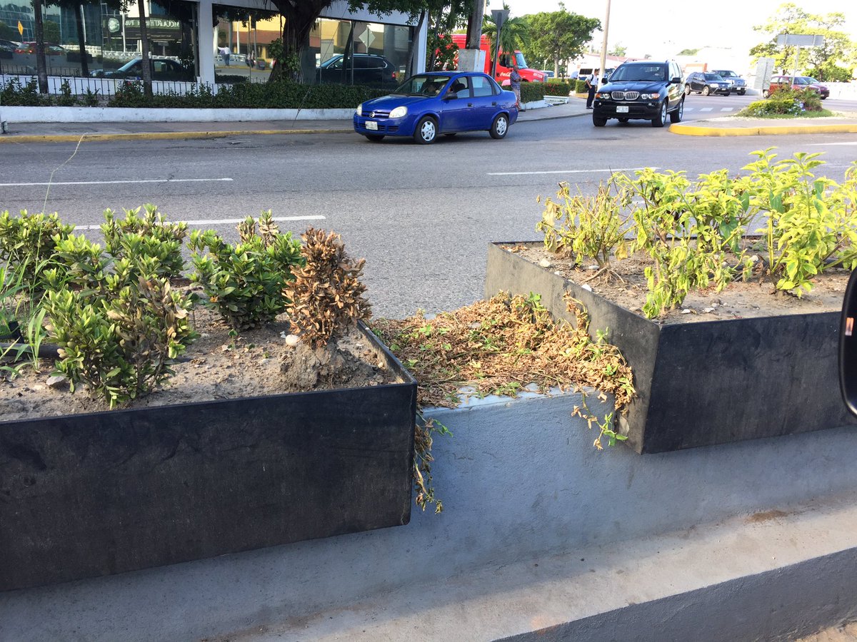 bengala2009's tweet photo. @gerardogaudiano Y de qué sirve que inviertas, si no lo cuidas? Tus carísimas jardineras se están secando https://t.co/VARFGEEO6R