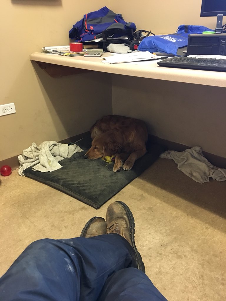 Jake Paver tweet media