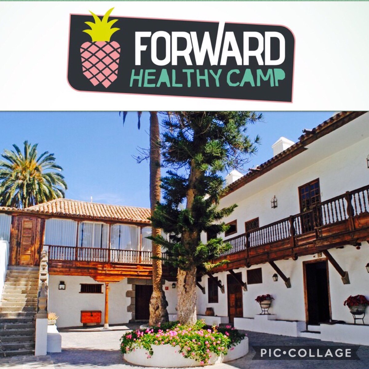 fwd_ss's tweet photo. #ForwardCamp se celebrará en el Hotel Rural Cortijo San Ignacio Golf, una casa antigua del siglo XVIII restaurada, rodeada palmeras centenarias y una gran piscina que invita al relax! Plazas limitadas!
Más info en nuestro evento en FB!
#healthyweekend #healthycamp #ociosaludable https://t.co/LBVp1k69WP