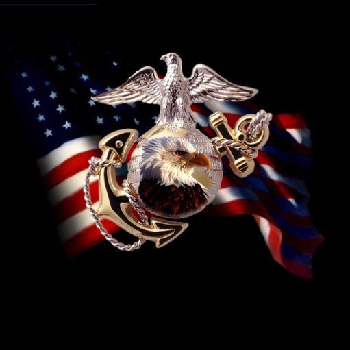Cheers to the <a href="/usmarinecorps/">USMC Recruiting</a> on their 242nd birthday. Thank you to all who have and continue to serve, and a speci… ift.tt/2yojzYX