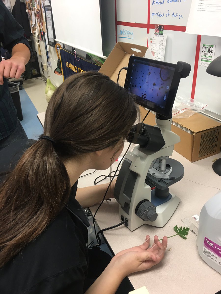 drkristynjones's tweet photo. Analyzing animal fecal samples for parasites is smelly! "Is that a hair?" #studentquotes #neaged #norristitans https://t.co/f2RzHbH8lq