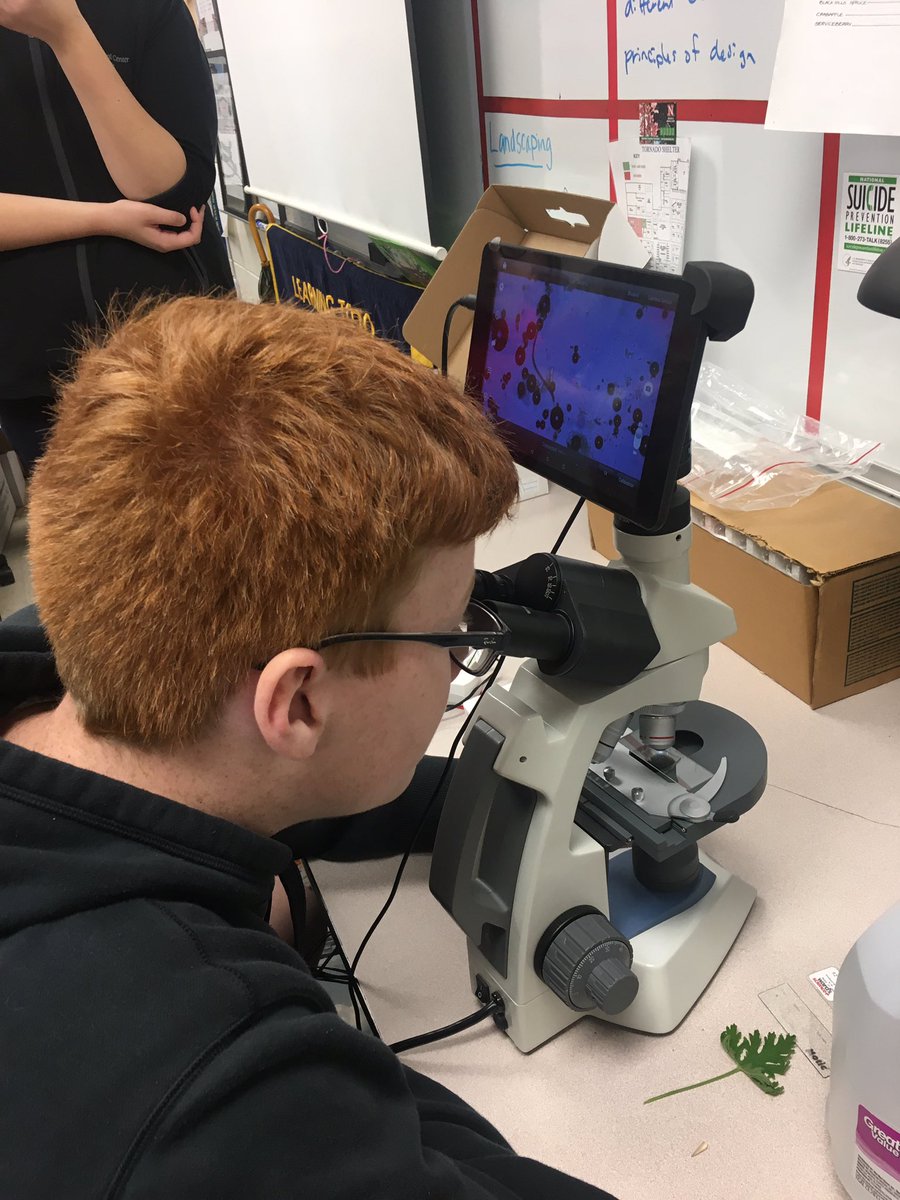 drkristynjones's tweet photo. Analyzing animal fecal samples for parasites is smelly! "Is that a hair?" #studentquotes #neaged #norristitans https://t.co/f2RzHbH8lq