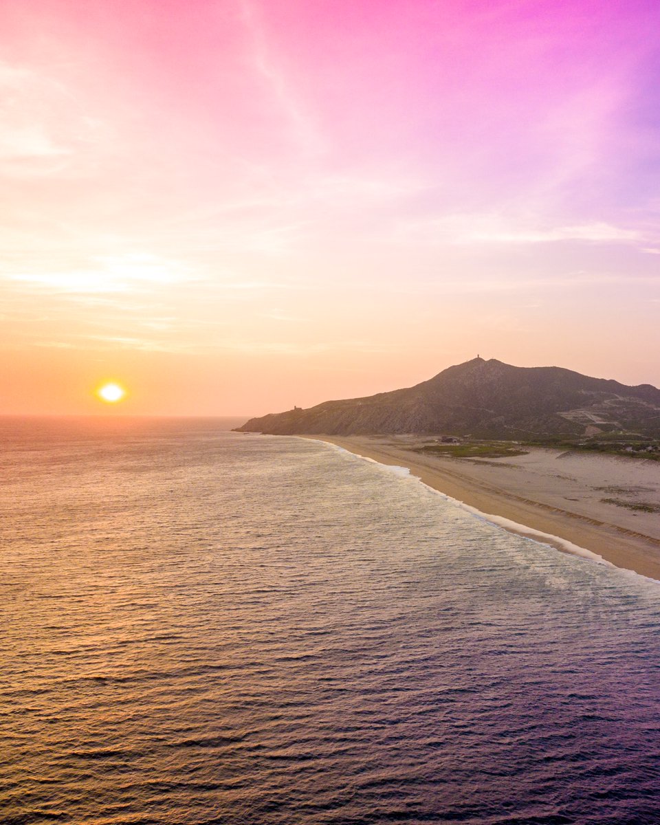 JevenDovey tweet media