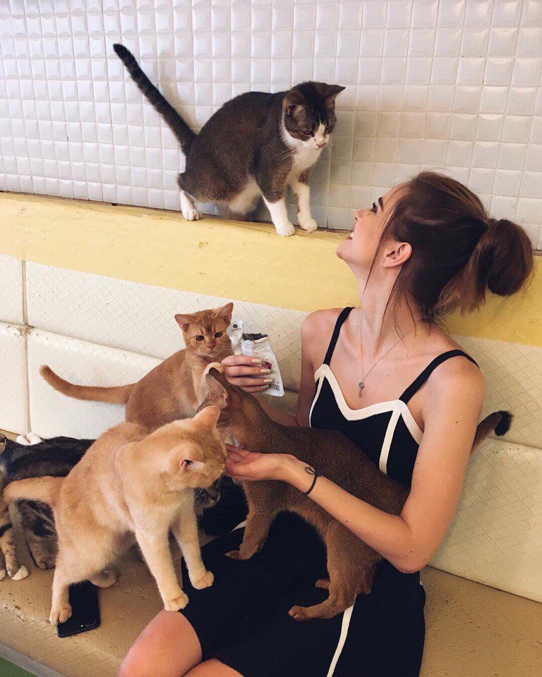 IuliaSun's tweet photo. моё будущее: https://t.co/3MLVRrCvPk