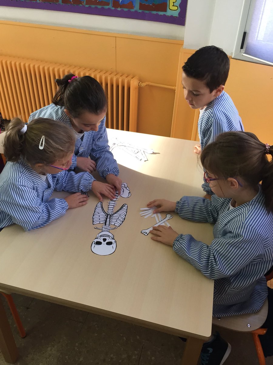 ColSantLluis's tweet photo. A #1rPRI ens convertim en traumatòlegs i aprenem com es diuen i on van els ossos del nostre esquelet. #músicaiaballar #projectes https://t.co/UN33unJE4T
