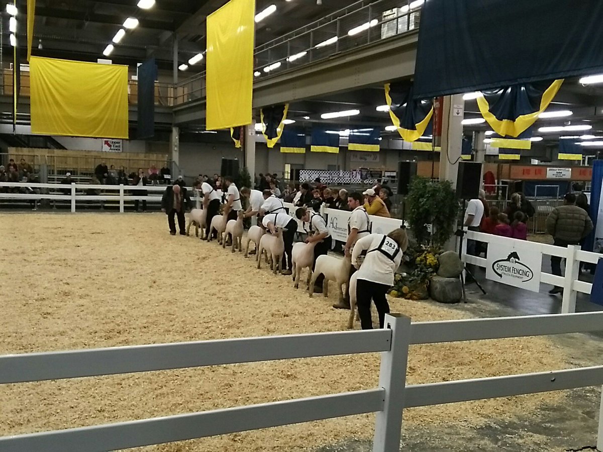 bigmouthsports's tweet photo. Just wrapped with @Lowetide. Now staring at shaved sheep. #RAWF2017 https://t.co/mdwDbUQZ1u