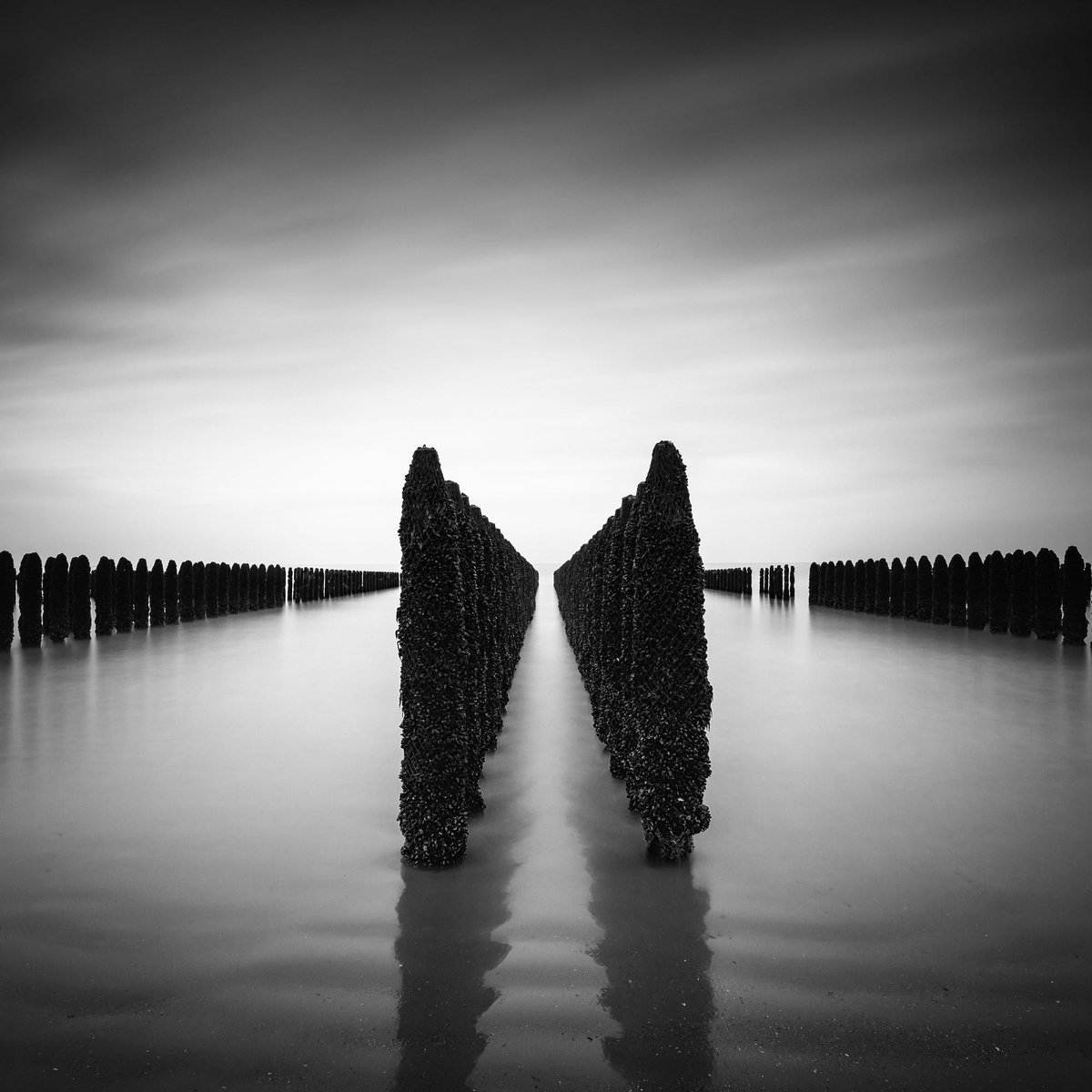 yoeditor's tweet photo. #YoEditor >II< by Christophe Staelens https://t.co/VDkQtDkj0g Via @500px https://t.co/iOudaNJvpF