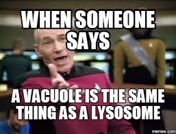 VacuSwole's tweet photo. @LeaderLysosome Thats right were not as 🗑🗑🗑 #voteforvacuole #APBEG17 https://t.co/3hd49GQmpc